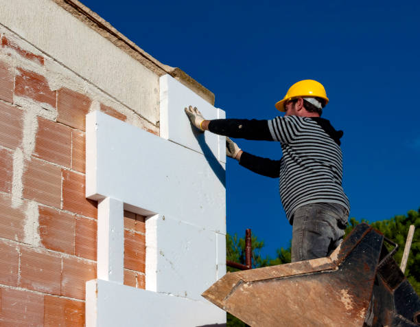 Best Cellulose Insulation in Chebanse, IL