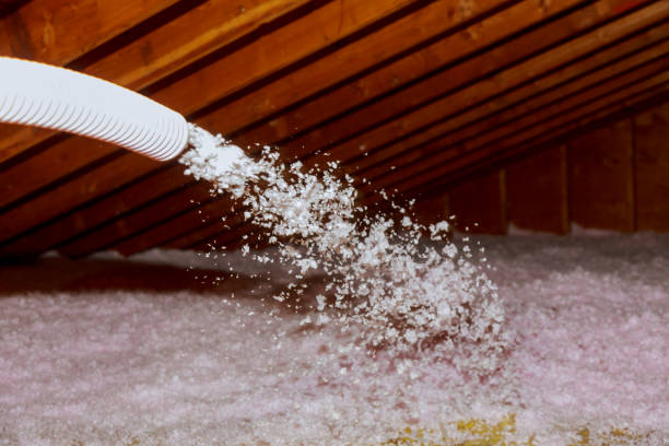 Best Commercial Insulation in Chebanse, IL