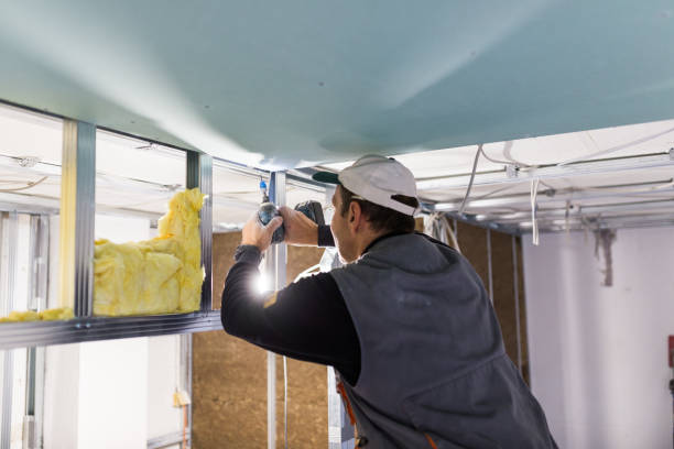 Best Insulation for Specific Applications in Chebanse, IL