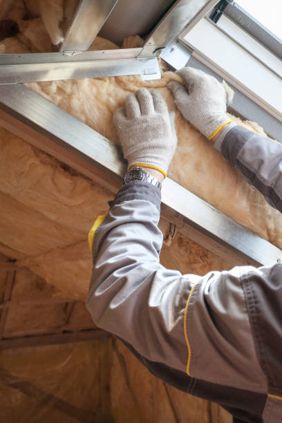 Best Eco-Friendly Insulation in Chebanse, IL
