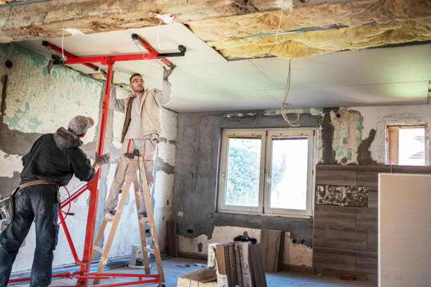Best DIY Insulation Kits and Guidance in Chebanse, IL