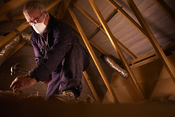 Best Cellulose Insulation in Chebanse, IL