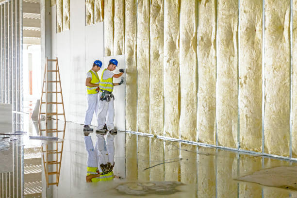 Best Commercial Insulation in Chebanse, IL